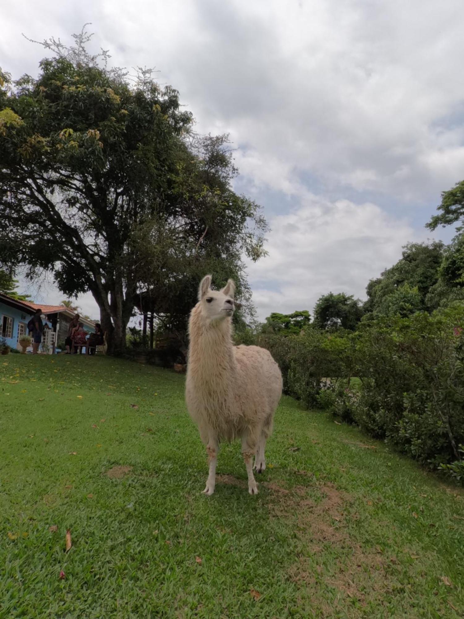 Aldeia Parque Pousada Rural São Roque Extérieur photo