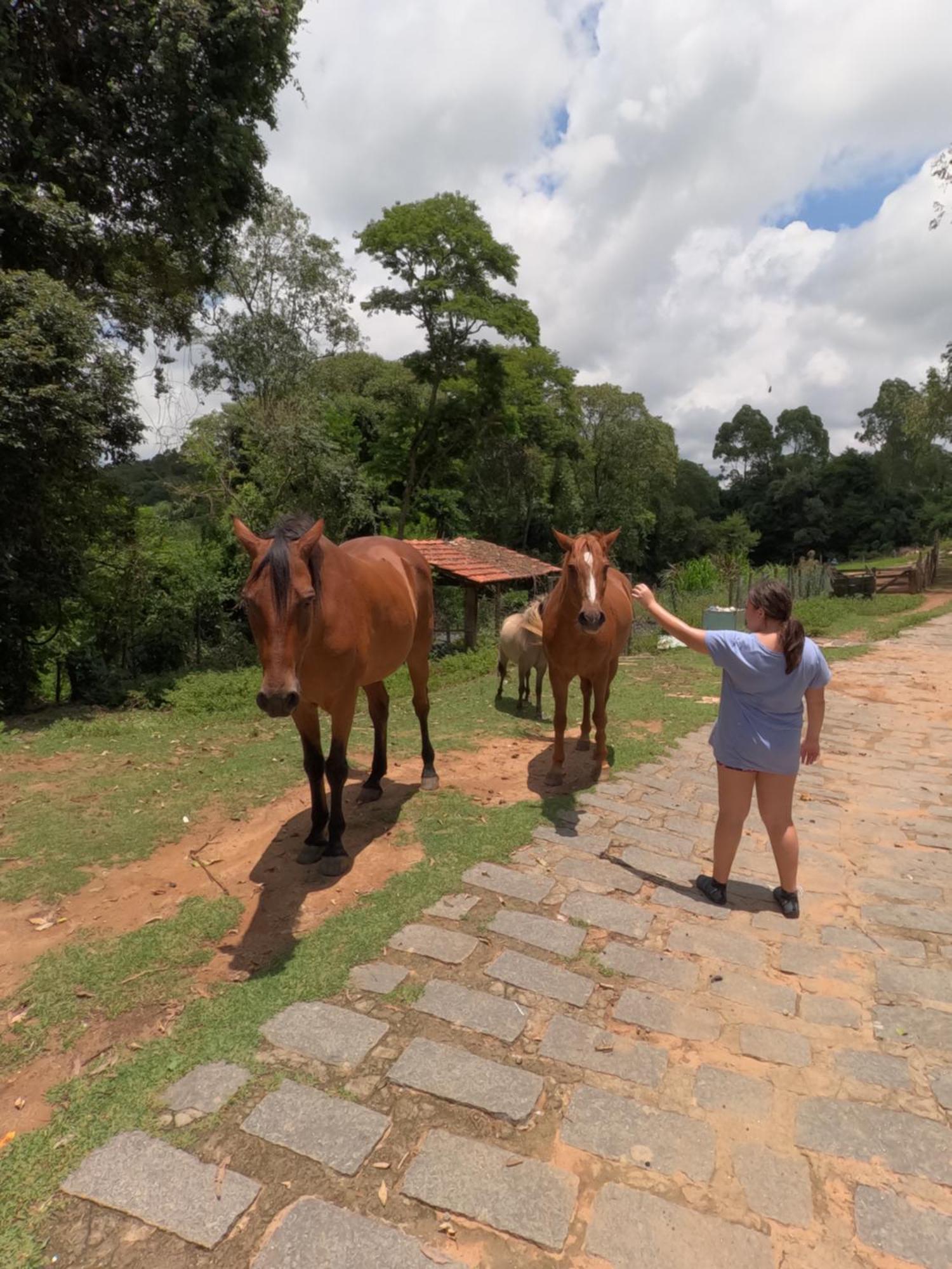 Aldeia Parque Pousada Rural São Roque Extérieur photo
